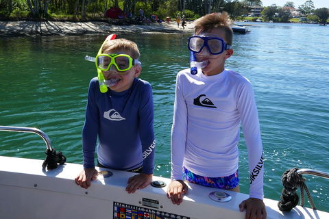 Wallis Court 6 - eAccommodation 1