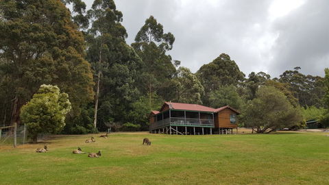 Walpole Wilderness Resort - eAccommodation 0