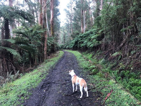 Warby Weekender - eAccommodation 3