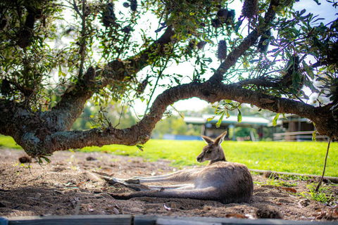 Waterfall Springs Retreat - eAccommodation 1