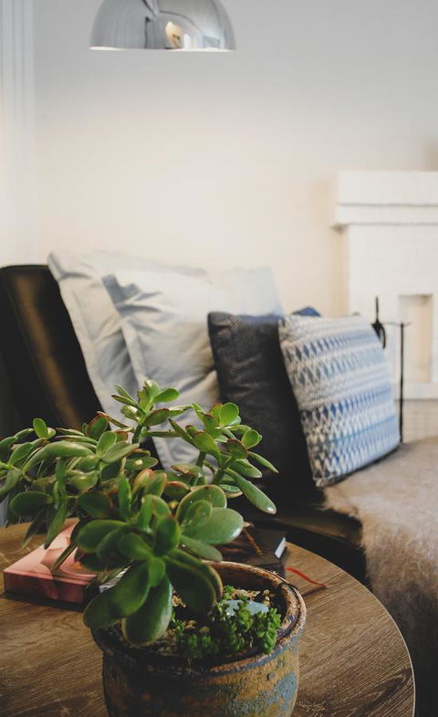 Bed Of Roses - eAccommodation 3