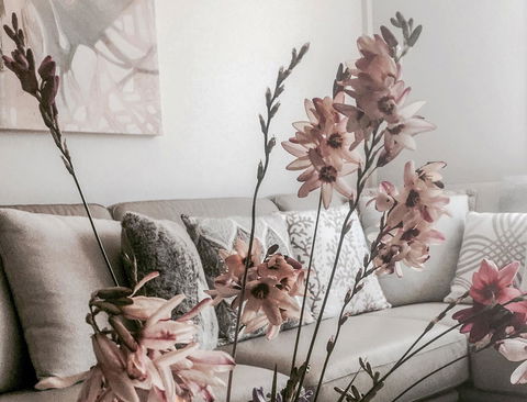 Bed Of Roses - eAccommodation 0