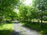 Book Wonga Park Accommodation Vacations eAccommodation eAccommodation