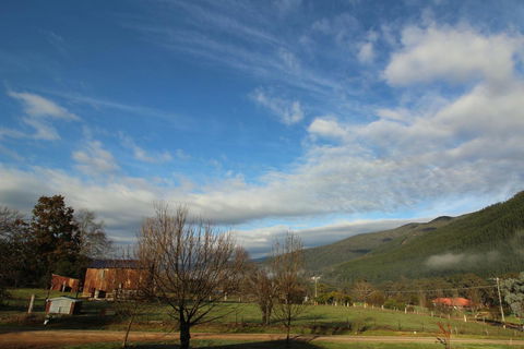 3 Bells Alpine Cottage - eAccommodation 26