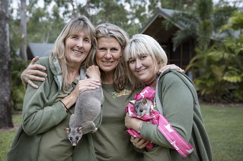 Airlie Beach Eco Cabins - Adults Only - eAccommodation 23