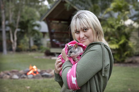 Airlie Beach Eco Cabins - Adults Only - eAccommodation 31