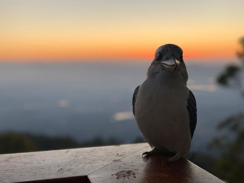 The Polish Place - eAccommodation 2