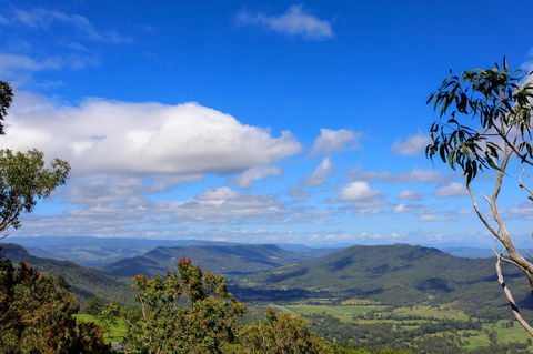 The Polish Place - eAccommodation 10