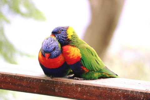 The Polish Place - eAccommodation 9