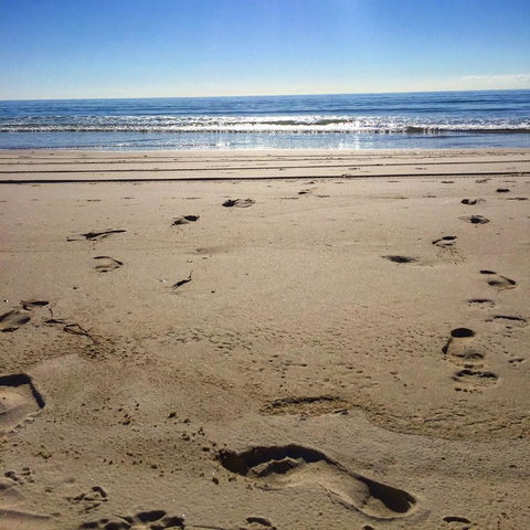 Kirra Surf Apartments - eAccommodation 12