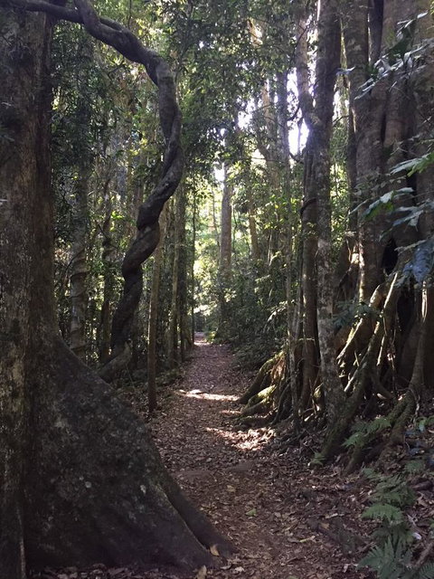 Kirra Surf Apartments - eAccommodation 11