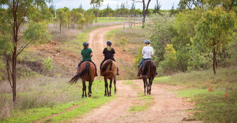 Ironbark House - eAccommodation 22