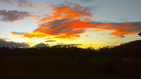 Ironbark House - eAccommodation 32