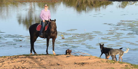 Ironbark House - eAccommodation 39