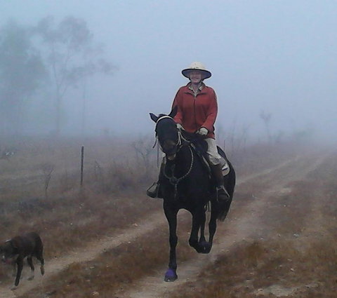 Ironbark House - eAccommodation 37