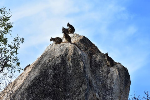 Ironbark House - eAccommodation 38