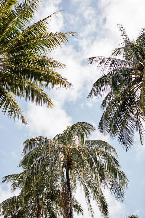 Novotel Cairns Oasis Resort - eAccommodation 9