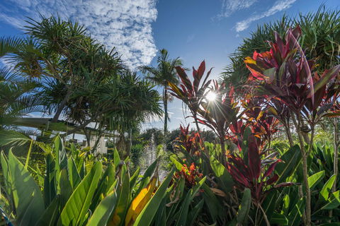 Currumbin Sands On The Beach - eAccommodation 9
