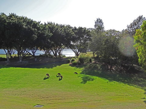 Waterfront Resort Villa With Buggy - eAccommodation 32