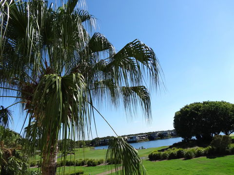 Waterfront Resort Villa With Buggy - eAccommodation 33