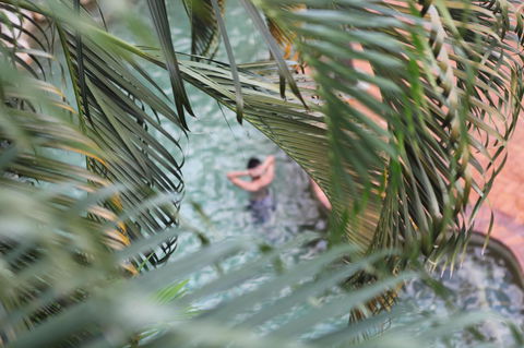 Coral Tree Inn - eAccommodation 36