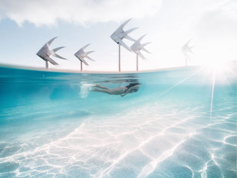 Coral Tree Inn - eAccommodation 39