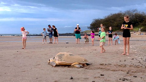 Dune On The Beach - eAccommodation 6