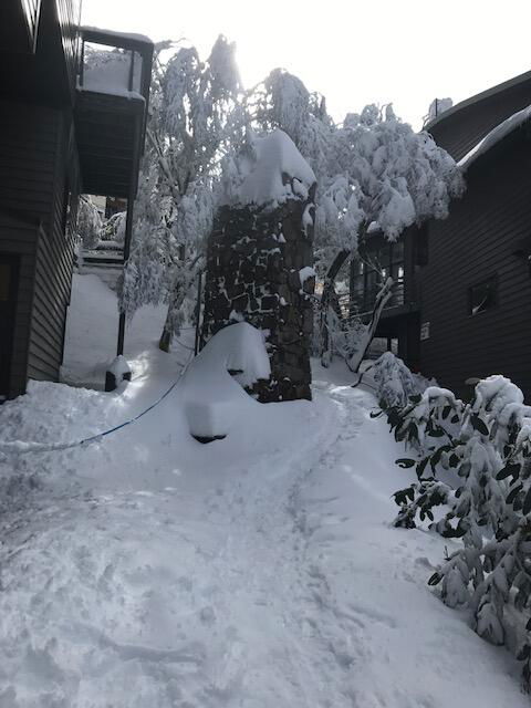 Winterbrook Chalet - eAccommodation 2