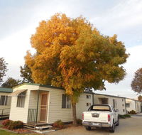 Wodonga Caravan  Cabin Park - eAccommodation