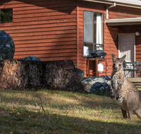 Wonderland Cottages - eAccommodation