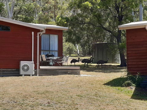 Wonderland Cottages - eAccommodation 3