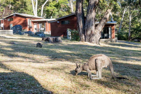 Wonderland Cottages - eAccommodation 1