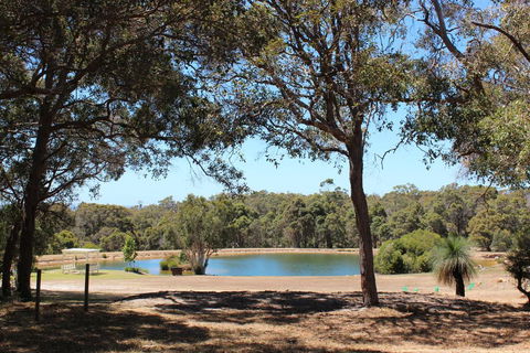 Woodstone Goanna Cottage - eAccommodation 3