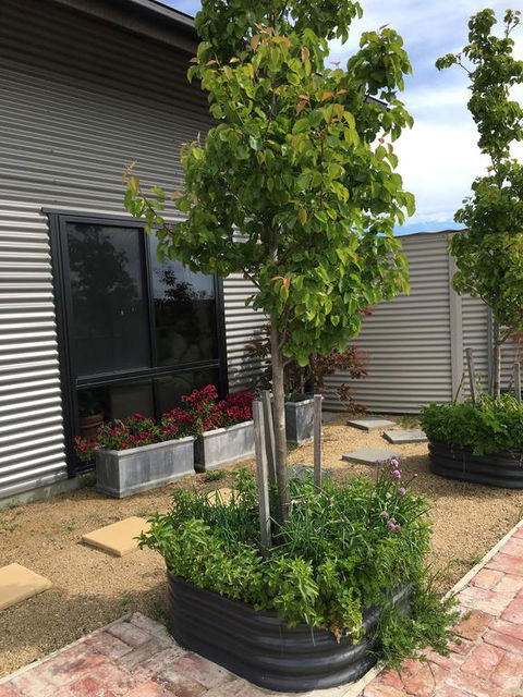 Woolamai Dreaming - eAccommodation 2