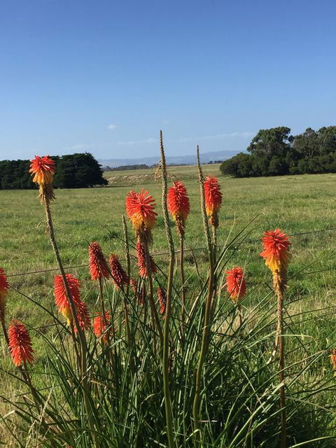 Yanakie Holiday House - eAccommodation 2