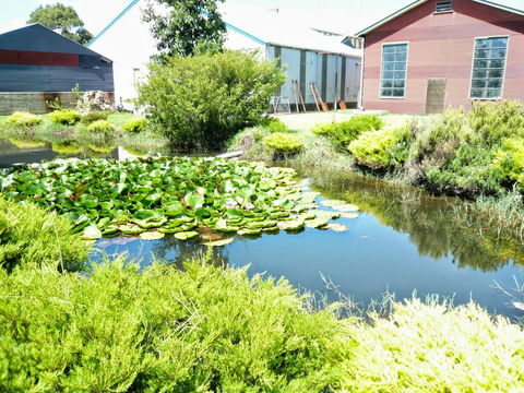 Yarragon Dairy Family Room - eAccommodation 1