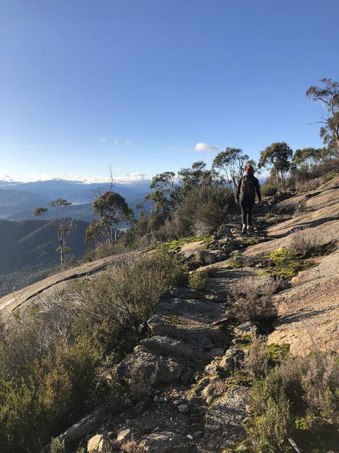 Yours And Theirs Pet Friendly Accommodation - eAccommodation 0