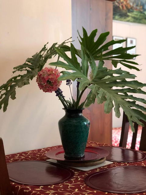 Albany Foreshore Guest House - eAccommodation 2