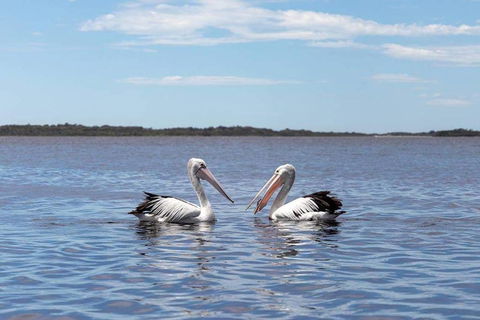 Amazing Ansons Bay Remote Paradise For The Family In The Bay Of Fires Area - eAccommodation 2