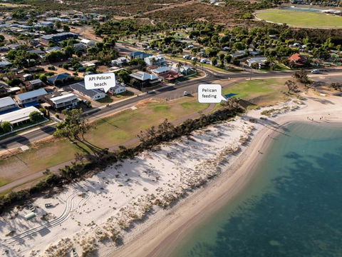 API Pelican Beach Front Apartments Kalbarri - eAccommodation 1