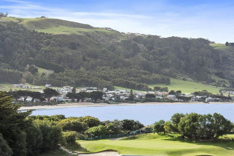 Apollo Blue 12 - eAccommodation 2