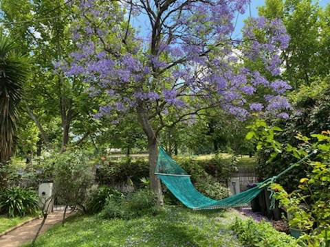 Art House On The Park - eAccommodation 4