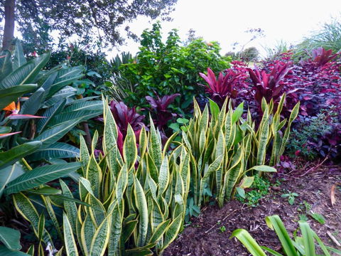 ArtHOUSE Beachfront Accommodation - eAccommodation 2