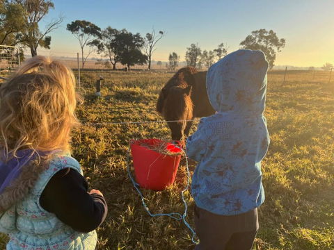 Avondale Heights By Tiny Away - eAccommodation 4