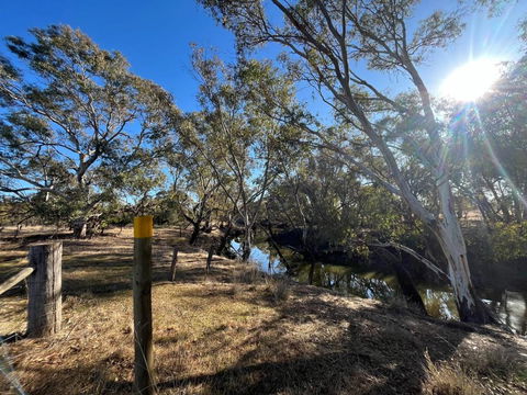 Avondale Heights By Tiny Away - eAccommodation 0