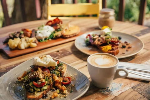 Architecturally Designed Nature Lovers Delight - eAccommodation 4