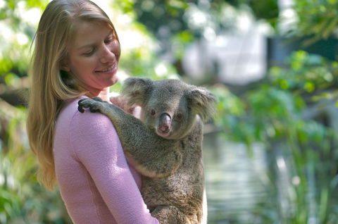 Martinique On Macrossan - eAccommodation 30