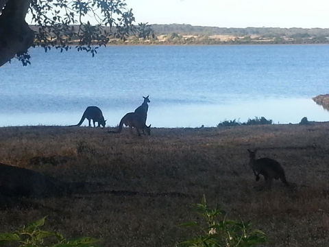 Ratcliff Cottage - eAccommodation 2
