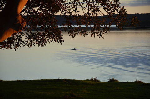 Ratcliff Cottage - eAccommodation 11