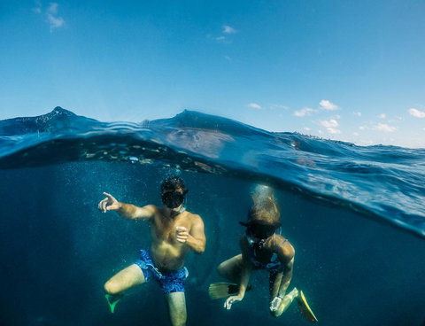 Manta Lodge YHA & Scuba Centre - eAccommodation 12